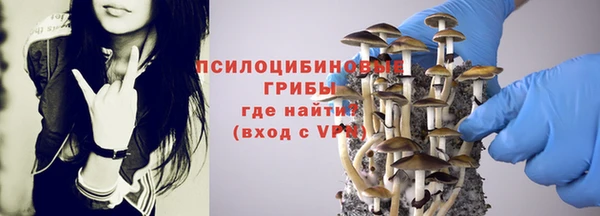 прущая мука Белокуриха